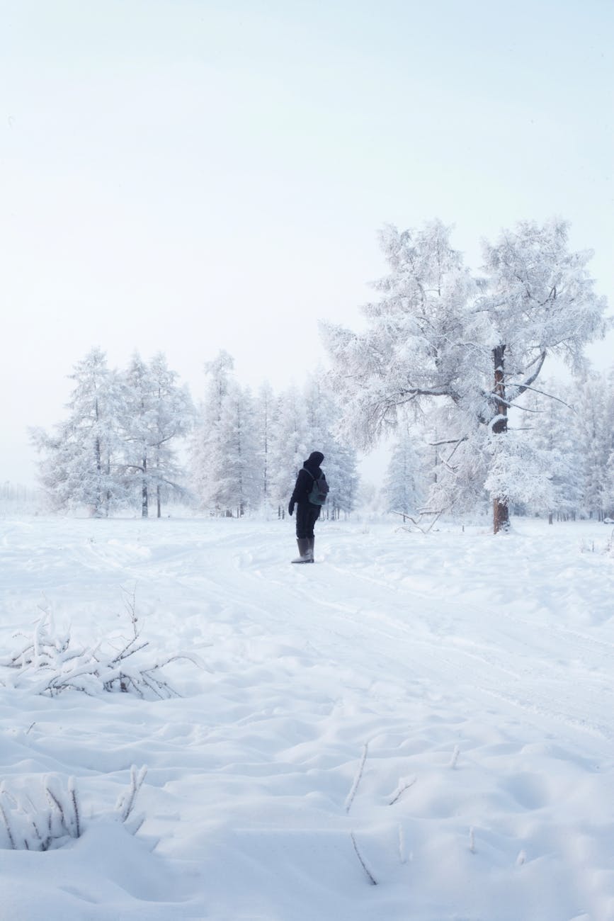 person in black jacket walking on snow covered ground