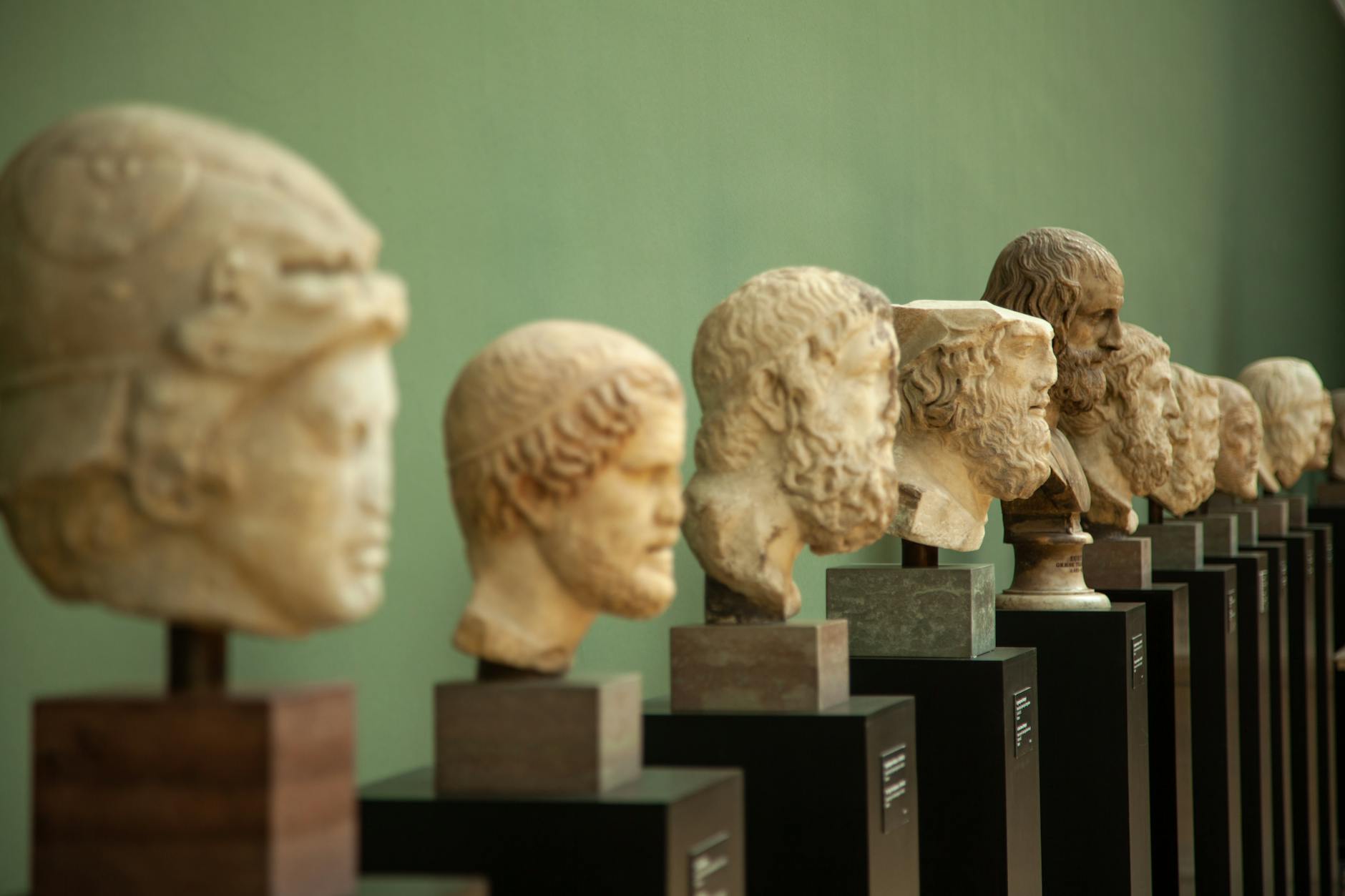 museum exhibition of ancient bust statues